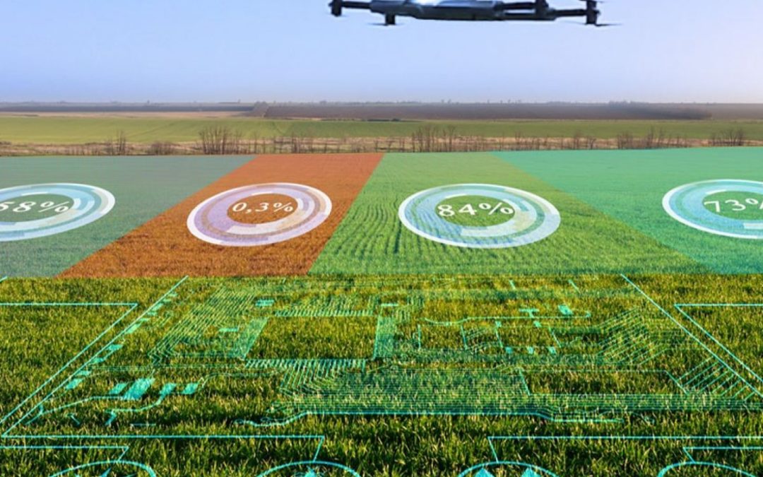 Ứng dụng Drone quang phổ trong kiểm tra sức khỏe cây trồng và quản lý nông nghiệp chính xác