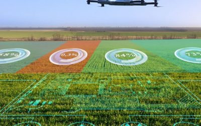 Ứng dụng Drone quang phổ trong kiểm tra sức khỏe cây trồng và quản lý nông nghiệp chính xác