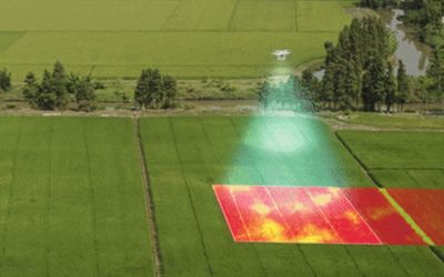 Dịch vụ Drone chụp ảnh quang phổ kiểm tra sức khỏe cây trồng chuyên nghiệp